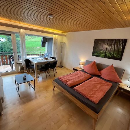 Haus Am Sonnenberg, Todtnauberg, Ferienwohnung 204, Direkt Am Skilift-Skipiste, Naehe Feldberg Esterno foto