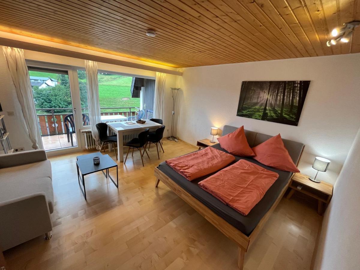 Haus Am Sonnenberg, Todtnauberg, Ferienwohnung 204, Direkt Am Skilift-Skipiste, Naehe Feldberg Esterno foto